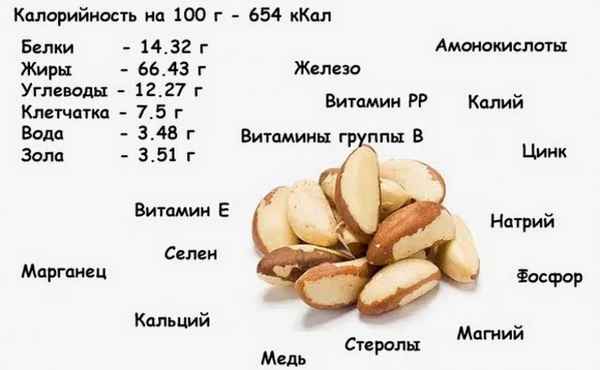 Калорийность орехов: грецких, кедровых, кешью, бразильских (таблица) 