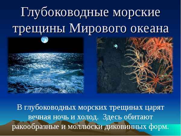 Глубоководные трещины Мирового океана: список, описание