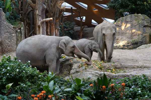 8 городов с лучшими зоопарками мира