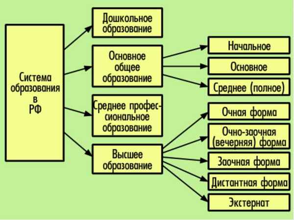 Система образования в современной России  